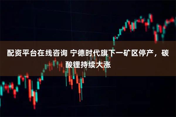 配资平台在线咨询 宁德时代旗下一矿区停产，碳酸锂持续大涨