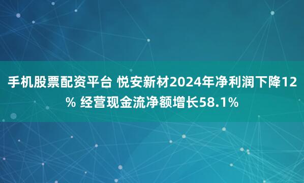 手机股票配资平台 悦安新材2024年净利润下降12% 经营现金流净额增长58.1%