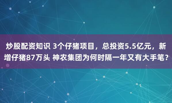 炒股配资知识 3个仔猪项目，总投资5.5亿元，新增仔猪87万头 神农集团为何时隔一年又有大手笔？