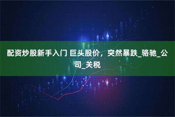 配资炒股新手入门 巨头股价，突然暴跌_骆驰_公司_关税